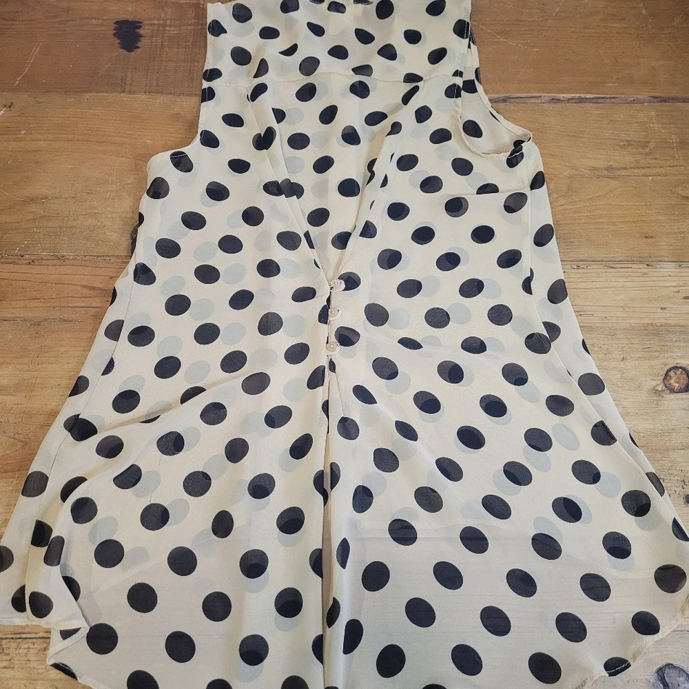 San Souci Polka Dot Sheer Blouse - Picture 6 of 8